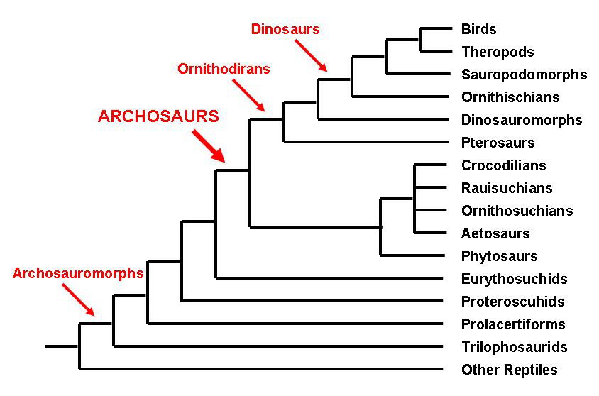 archosaurs.jpg