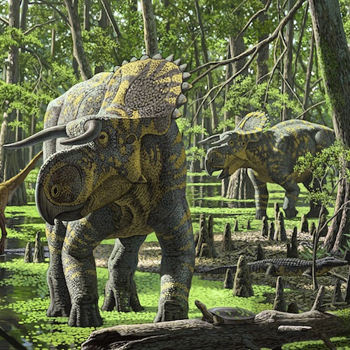Nasutoceratops titusi by Raul Martin 300 dpi
